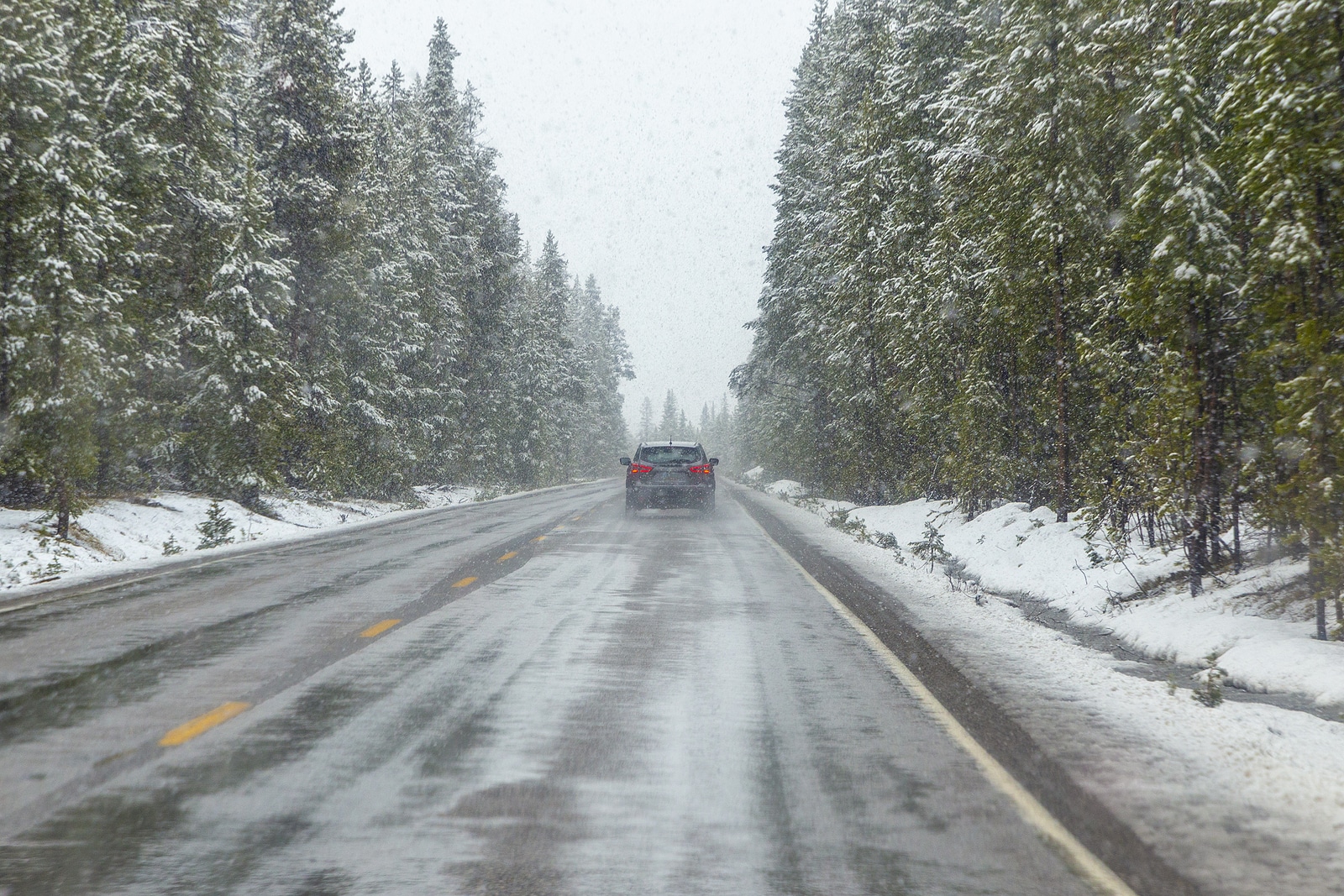 Car Rentals to Yellowstone from Journey Rent-A-Car